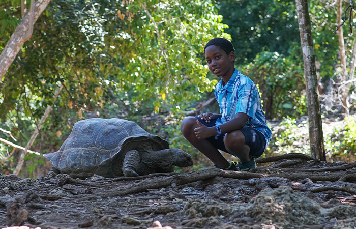 Day Safari to Mikumi national park